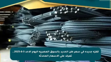 قفزة جديدة في سعر طن الحديد بالسوق المصرية اليوم الأحد 3-8-2025.. تعرف على الأسعار المحدثة